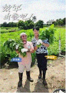 纪实综艺拍摄现场配图